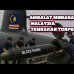 Youtube Thumbnail image of : KAPAL SELAM MALAYSIA TIBA TIBA TEMBAKAN TORPEDO UNTUK PERTAMA KALINYA